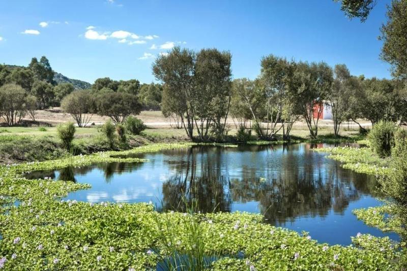 Hotel Li Neuli Country Club San Pantaleo Exterior foto